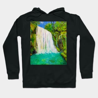 Waterfall in the old park Hoodie